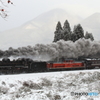 9522レ 雪景色