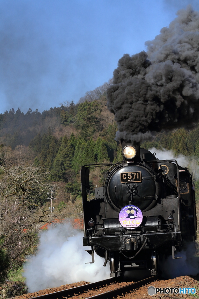 おめでとう傘寿やまぐち号　中座踏切