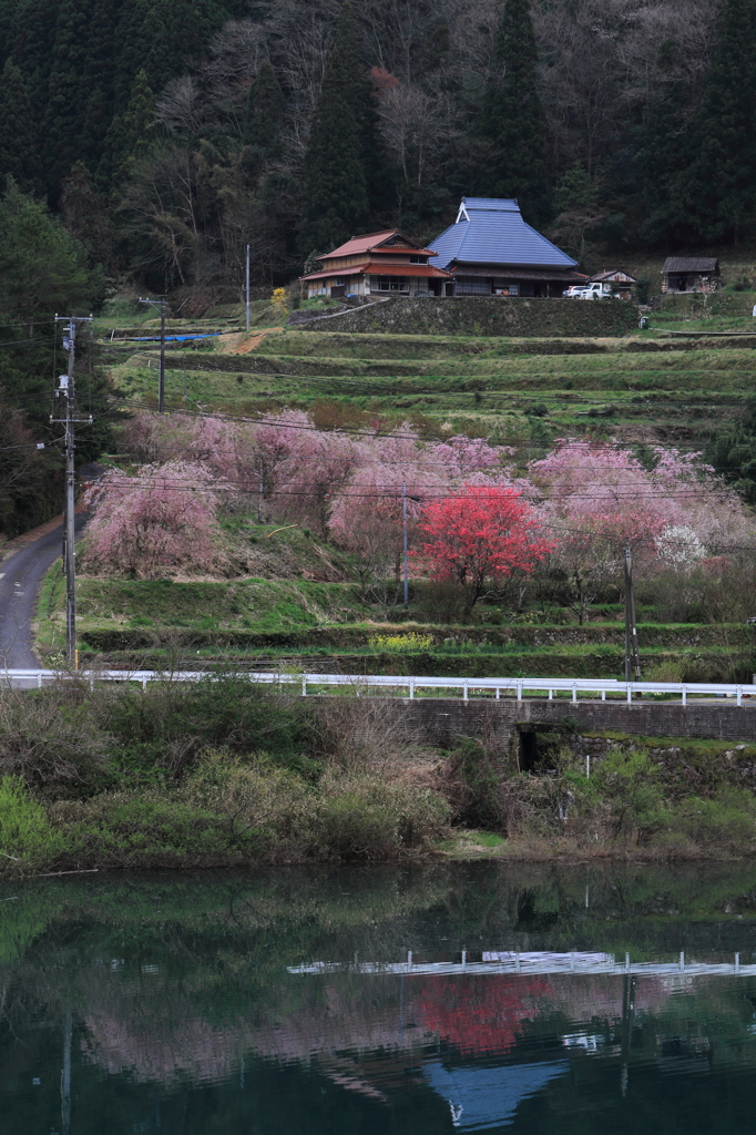 川面に写る里山