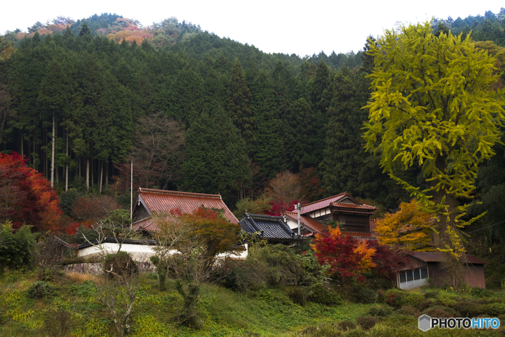 山里のお寺