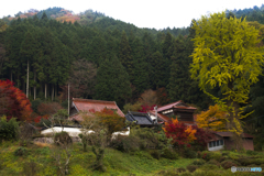 山里のお寺