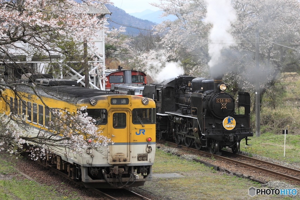 桜の徳佐駅交換