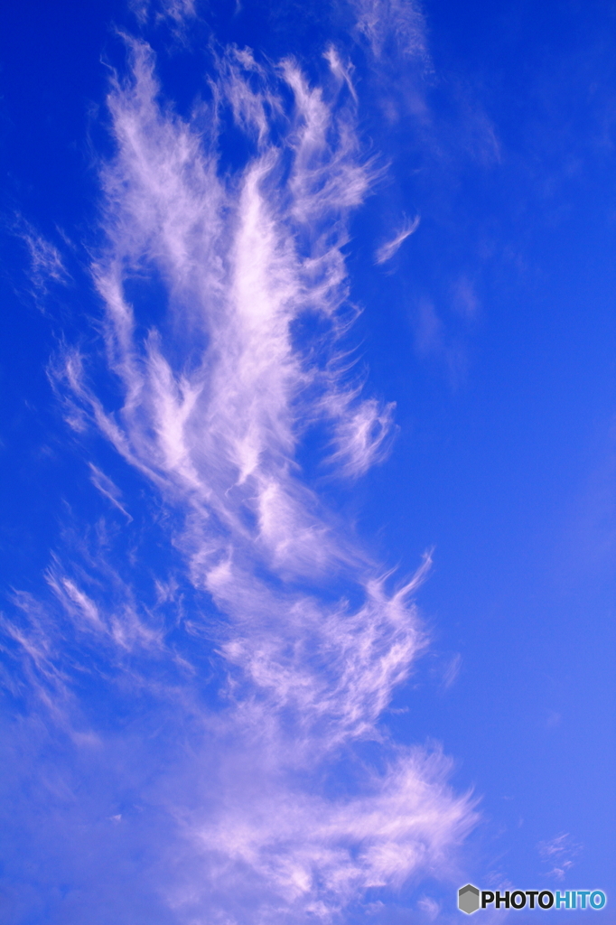 目に留まった雲