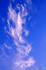 目に留まった雲