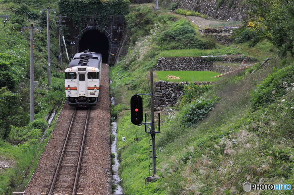 里山を走る　猪谷行普通列車