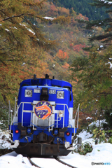 トロッコ列車では寒すぎる