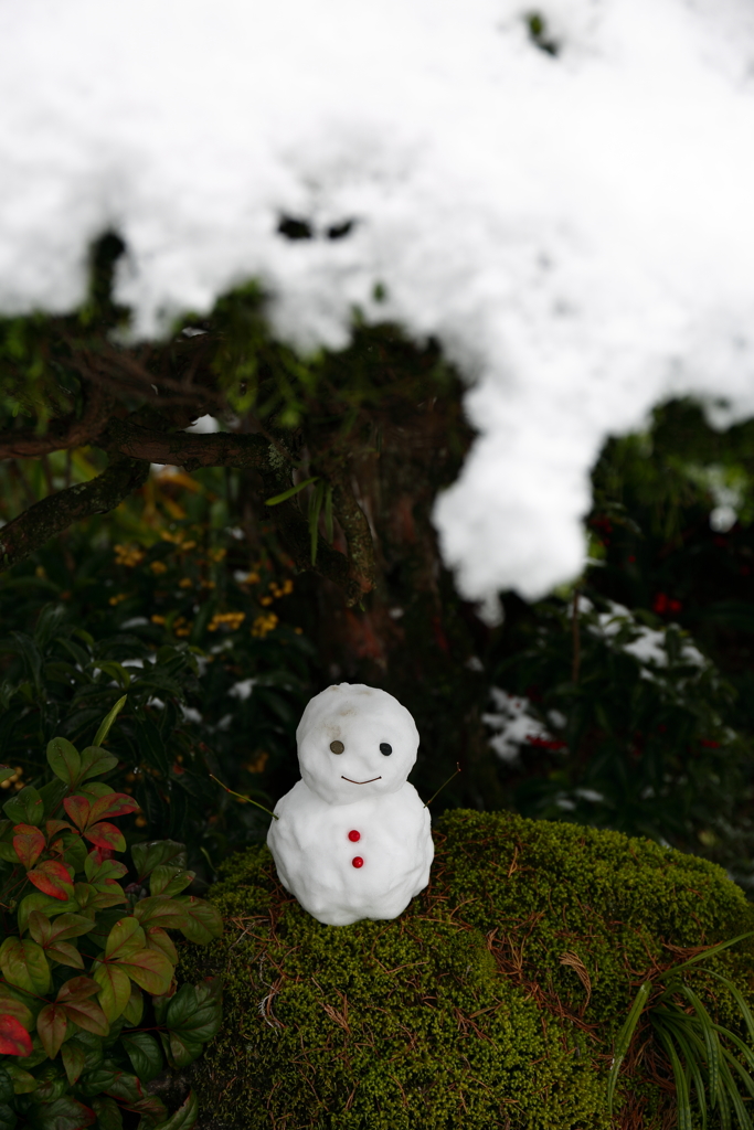 2017の初雪（娘が作った雪だるま）