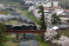 津和野桜だより