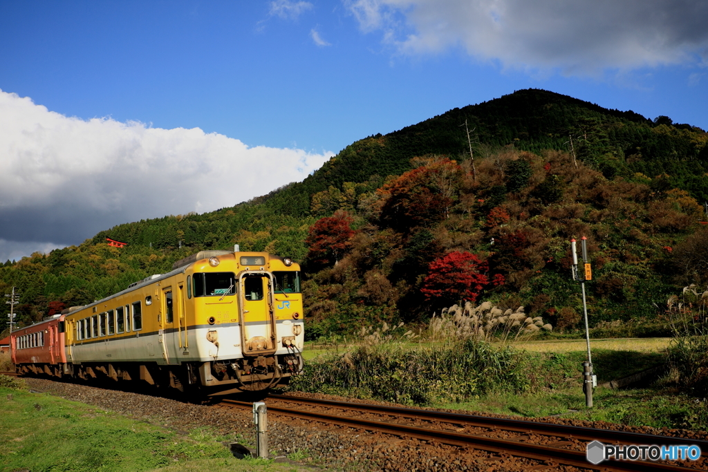 秋晴れとキハ