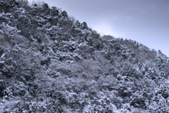 山肌の冬景色