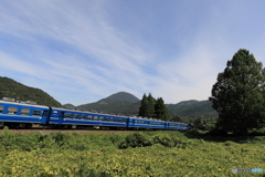 青い列車