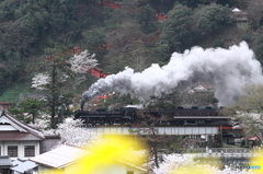 津和野の街を往く（3）