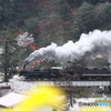 津和野の街を往く（3）