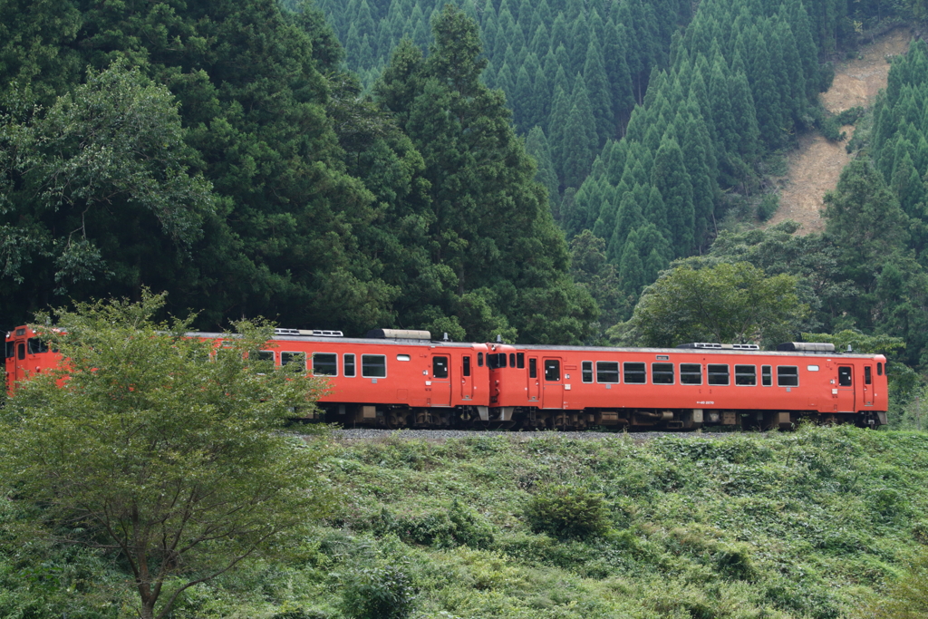 山間のキハ