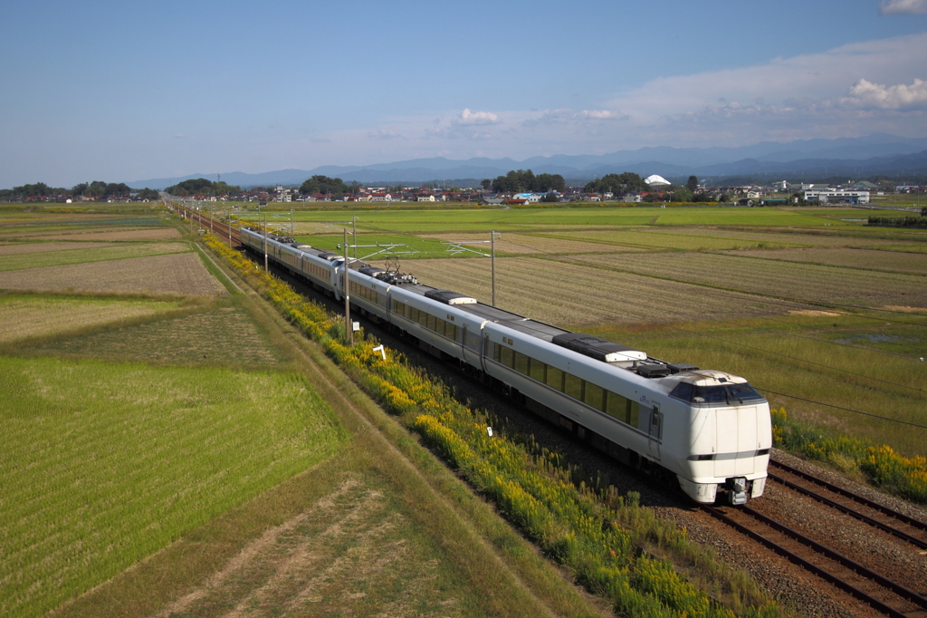 北陸本線穀倉地帯