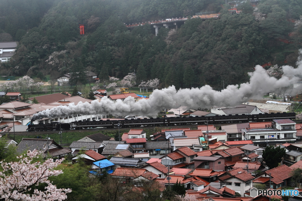 津和野の街を往く
