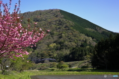 八重と春の山