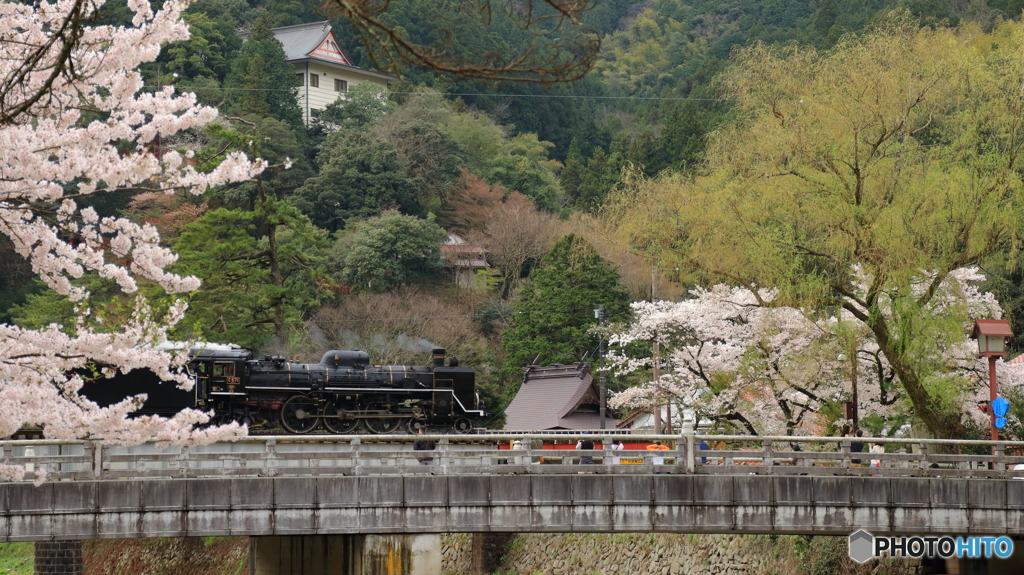 津和野大橋とSL