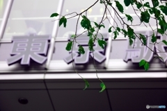 東京駅にて(1)