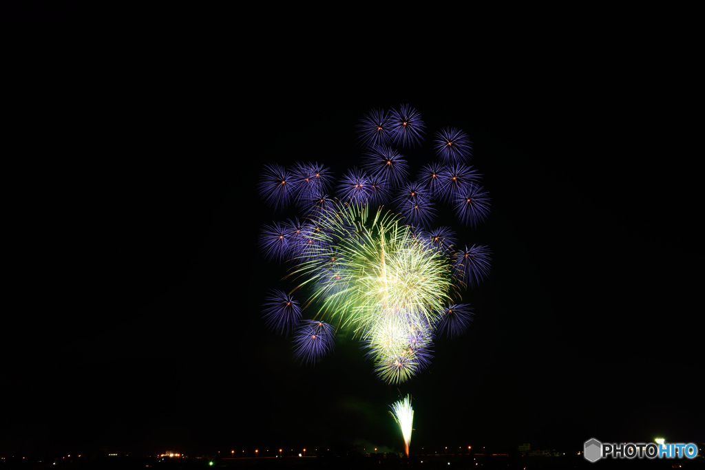 DSC_5046