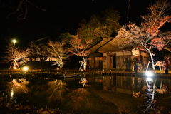北方文化博物館２