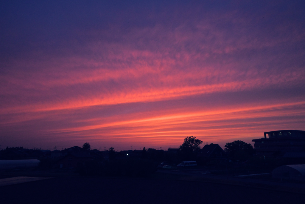 DSC_0259_01
