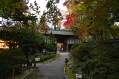 中野邸記念館６