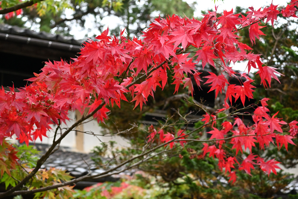 中野邸記念館５