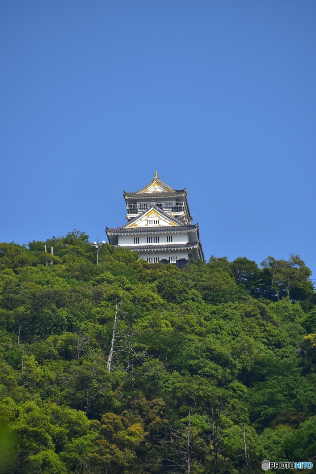 めざせ岐阜城2