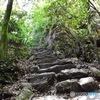 めざせ岐阜城！遠いなぁ〜