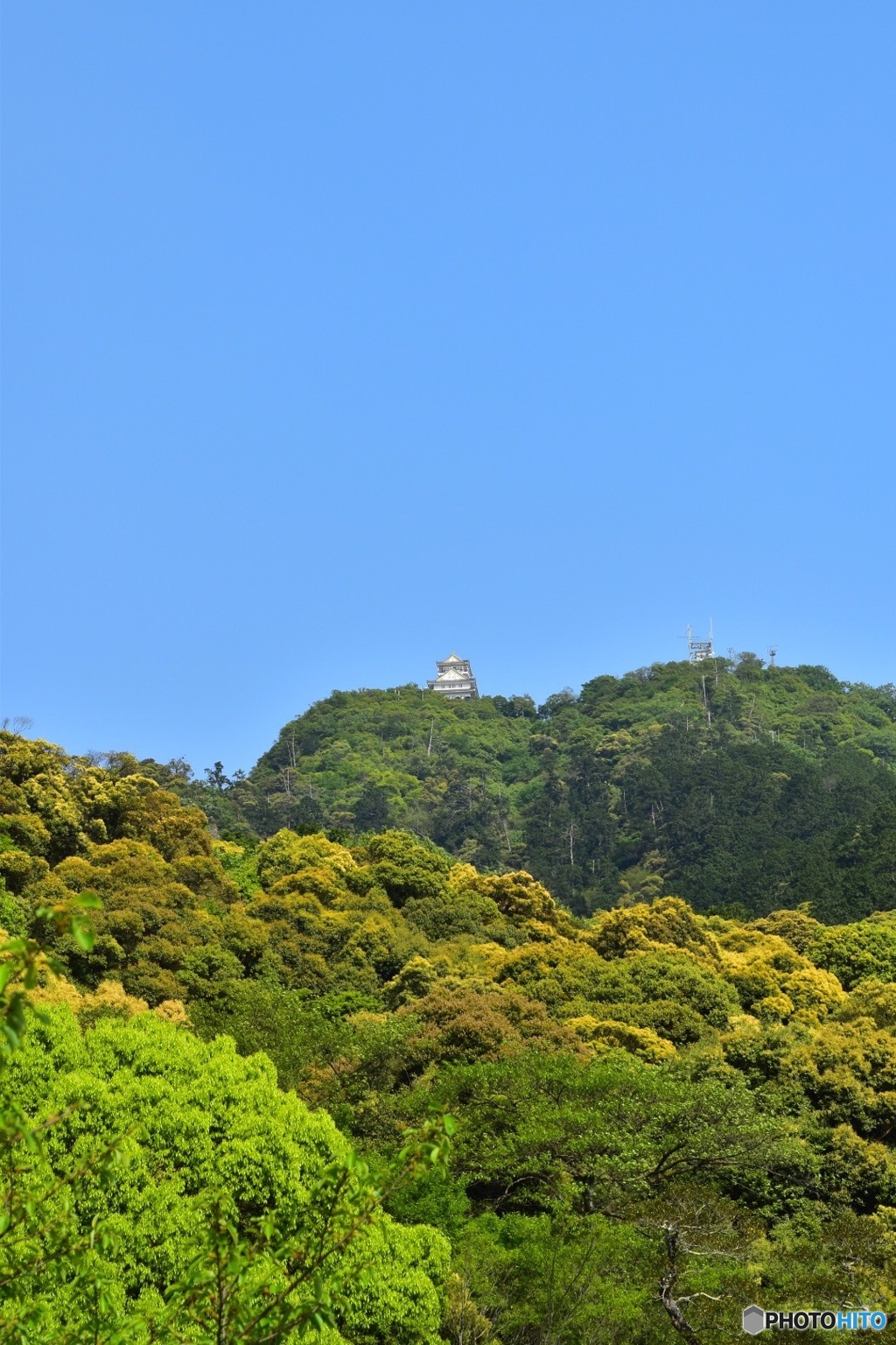 目指せ岐阜城1