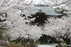 威厳の寺