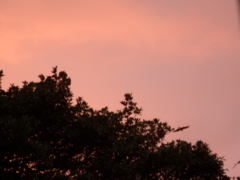 空