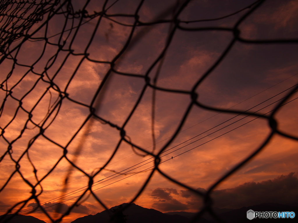 Ｓｕｍｍｅｒ　sunset   "Bird cage"