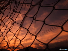 Ｓｕｍｍｅｒ　sunset   "Bird cage"