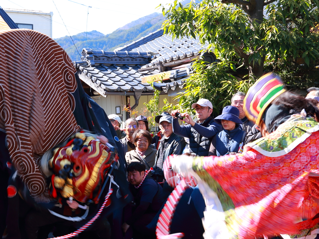 信州飯田お練り祭り東野大獅子”対峙＃1”