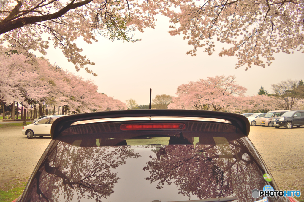 春色
