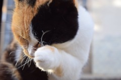 顔は写さないで！