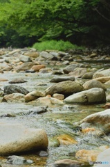 木ノ俣川 下流