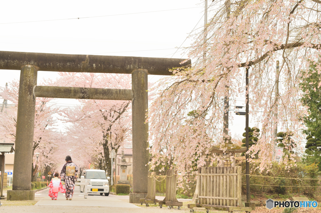 桜の咲く頃に