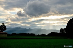 夕暮れ時の田んぼ