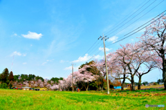 カラフルな春