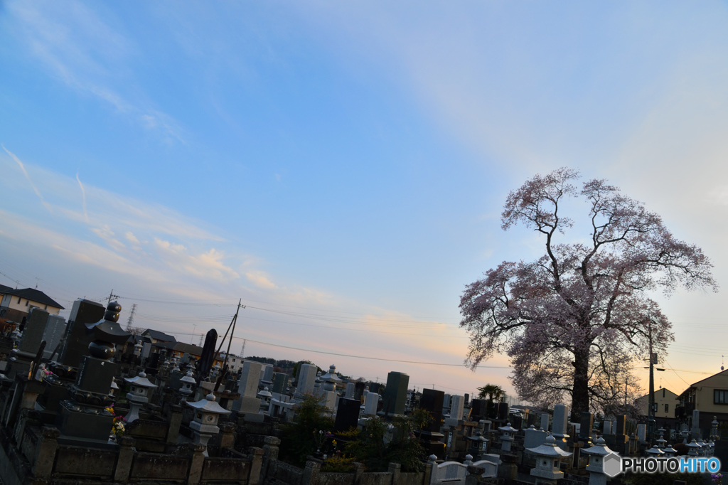 春の宴