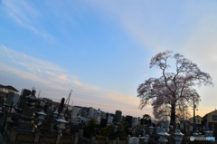 春の宴