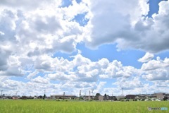 雲だらけ