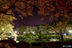 美しい夜②