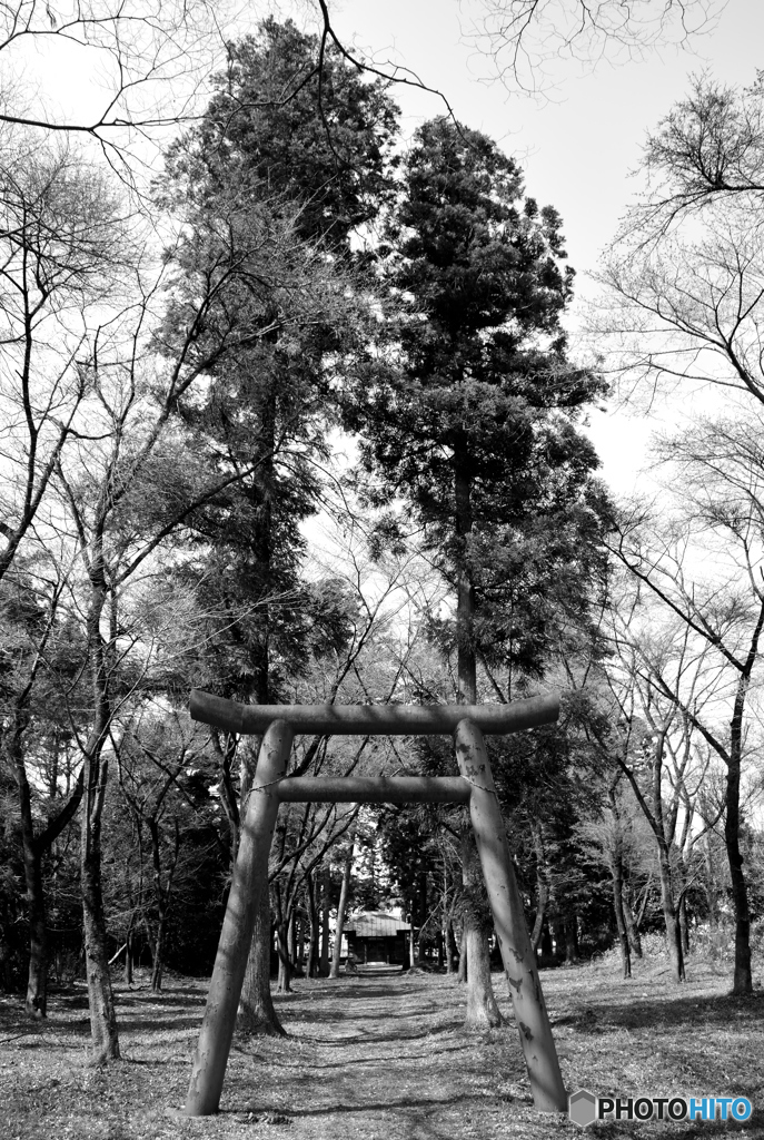 神社の入口