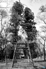 神社の入口