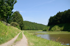 田んぼまでの道