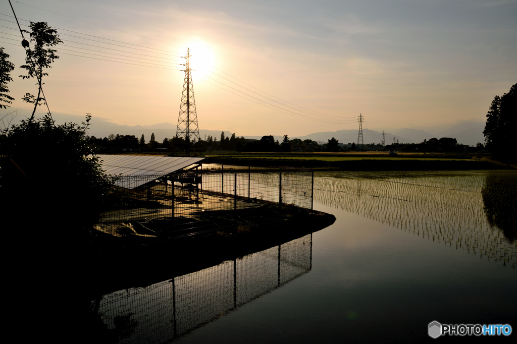 夕暮れの田んぼとメガソーラー